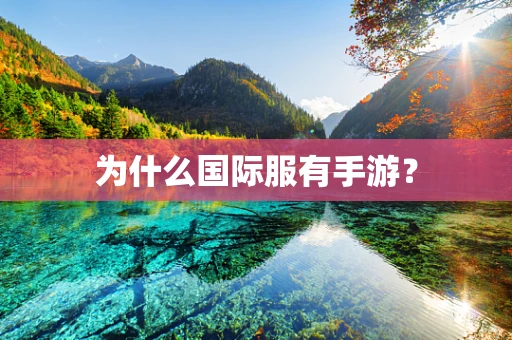 为什么国际服有手游？