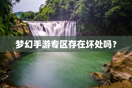 梦幻手游专区存在坏处吗？