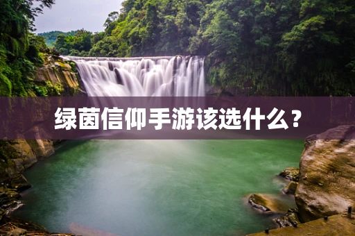 绿茵信仰手游该选什么？
