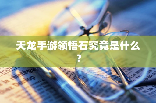 天龙手游领悟石究竟是什么？