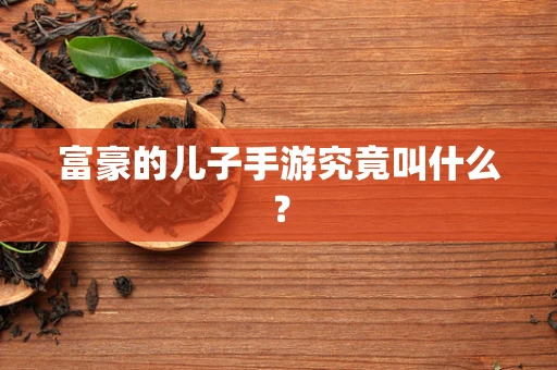 富豪的儿子手游究竟叫什么？