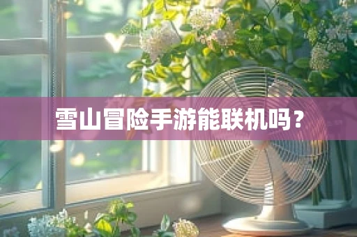雪山冒险手游能联机吗？