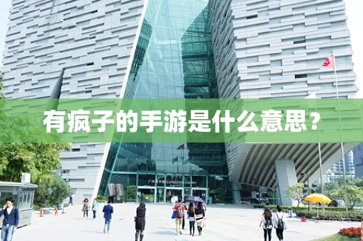 有疯子的手游是什么意思？