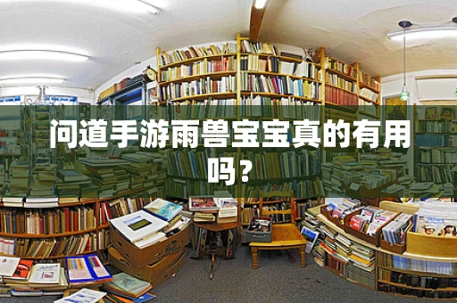 问道手游雨兽宝宝真的有用吗？