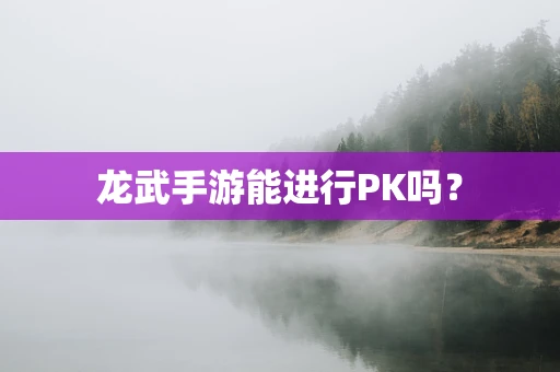 龙武手游能进行PK吗？