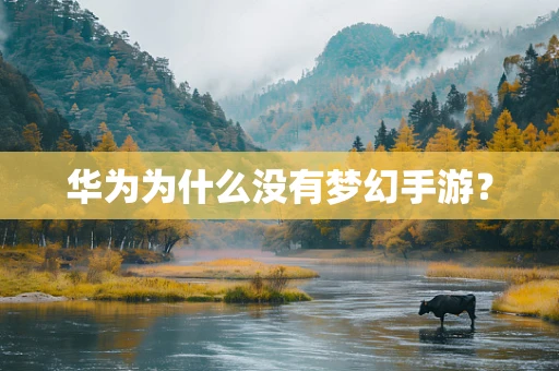 华为为什么没有梦幻手游？