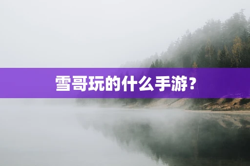 雪哥玩的什么手游？