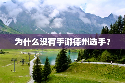 为什么没有手游德州选手？