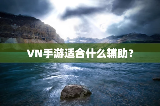 VN手游适合什么辅助？