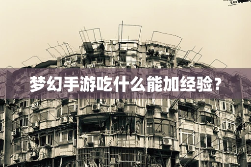 梦幻手游吃什么能加经验？