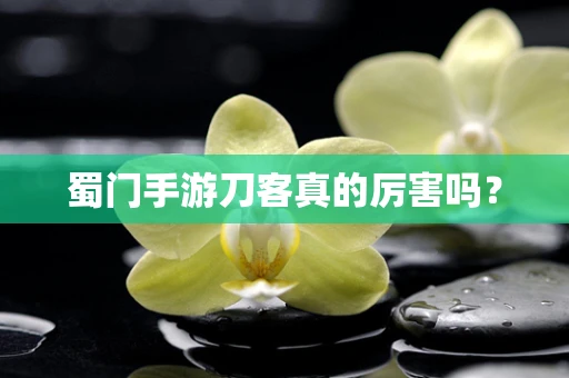 蜀门手游刀客真的厉害吗？