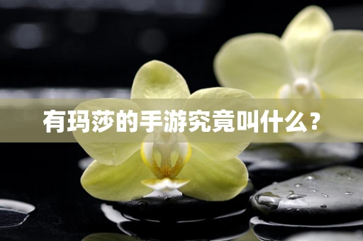 有玛莎的手游究竟叫什么？