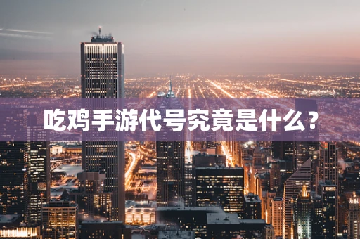 吃鸡手游代号究竟是什么？