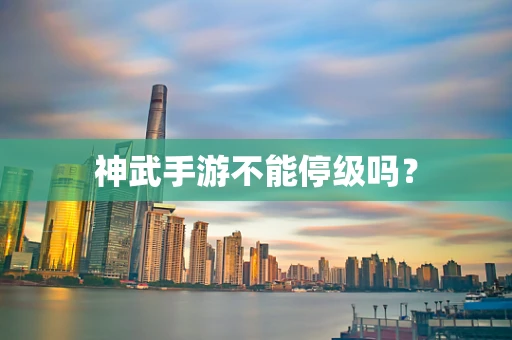神武手游不能停级吗？
