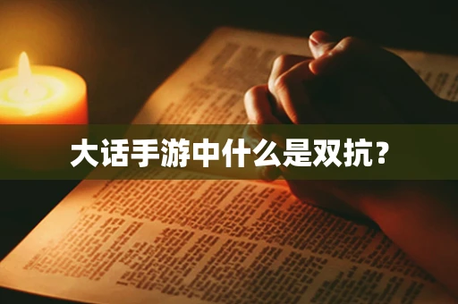 大话手游中什么是双抗？
