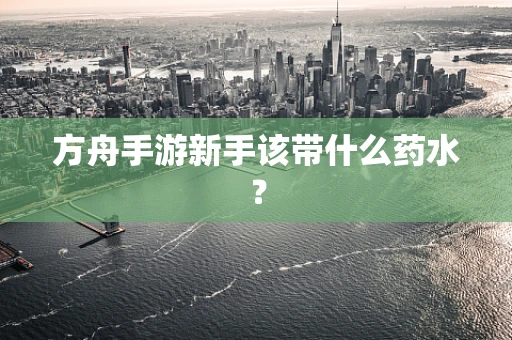 方舟手游新手该带什么药水？