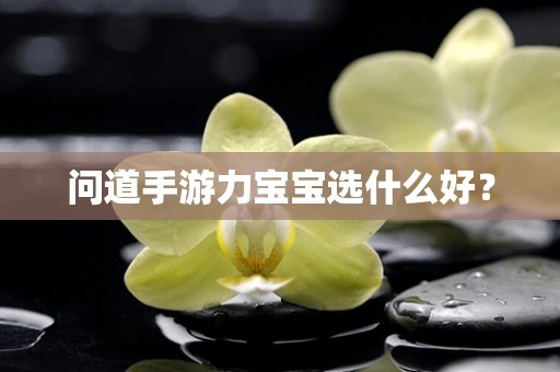 问道手游力宝宝选什么好？