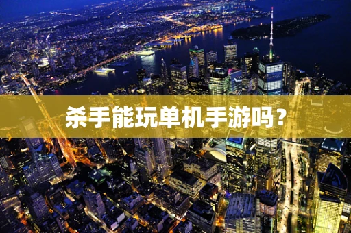 杀手能玩单机手游吗？