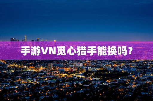 手游VN觅心猎手能换吗？
