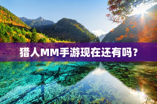 猎人MM手游现在还有吗？