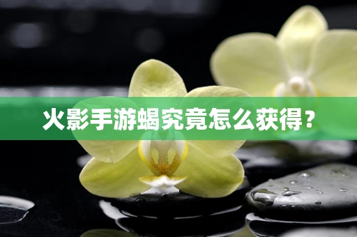 火影手游蝎究竟怎么获得？