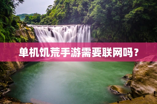 单机饥荒手游需要联网吗？