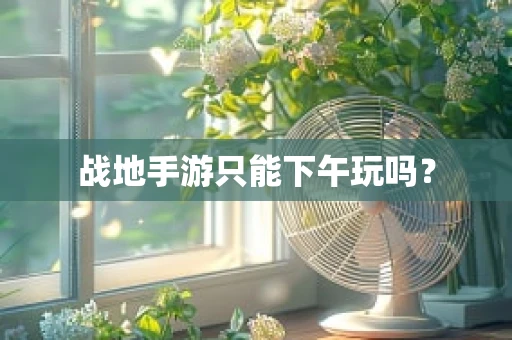 战地手游只能下午玩吗？