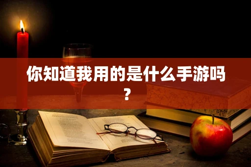 你知道我用的是什么手游吗？