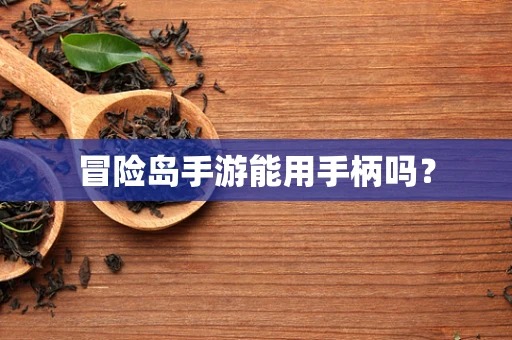 冒险岛手游能用手柄吗？