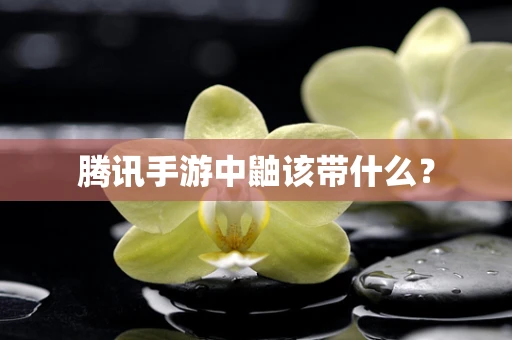 腾讯手游中鼬该带什么？