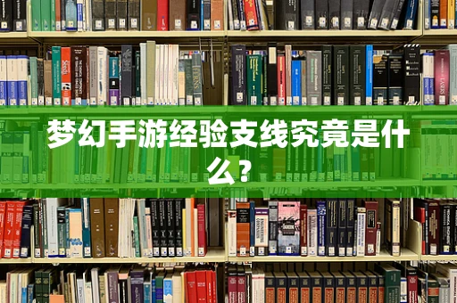 梦幻手游经验支线究竟是什么？