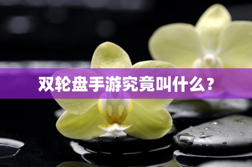 双轮盘手游究竟叫什么？