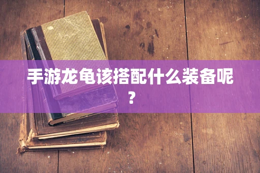 手游龙龟该搭配什么装备呢？