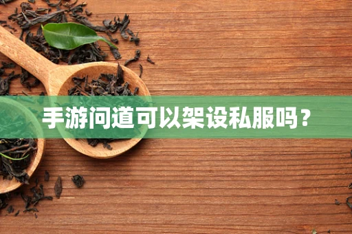 手游问道可以架设私服吗？
