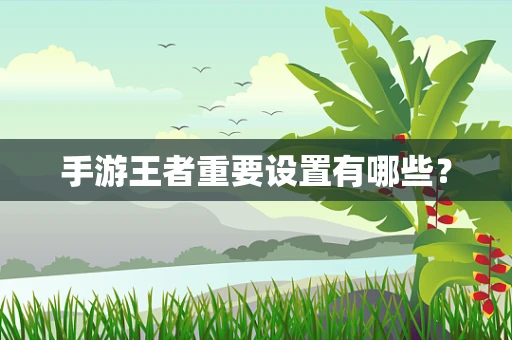 手游王者重要设置有哪些？