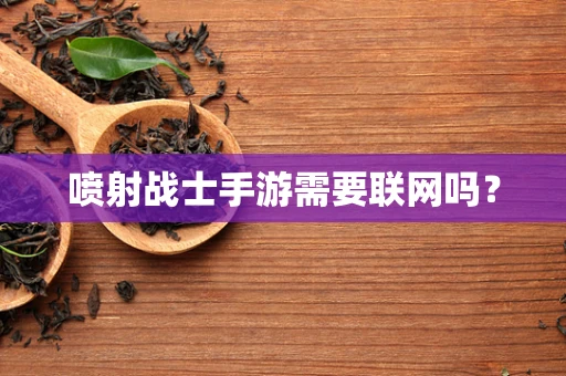 喷射战士手游需要联网吗？