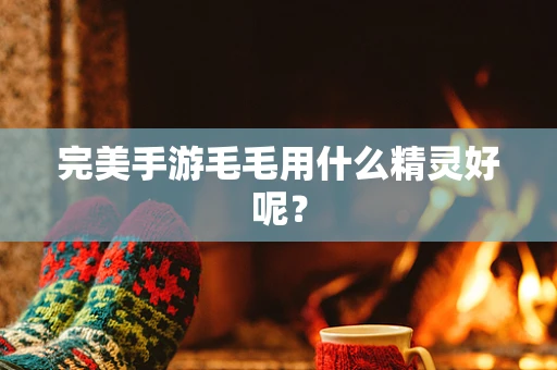 完美手游毛毛用什么精灵好呢？