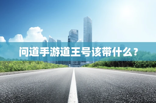 问道手游道王号该带什么？