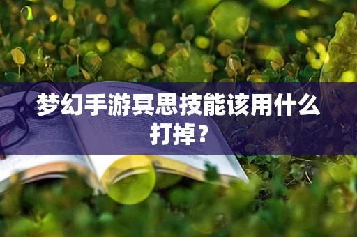 梦幻手游冥思技能该用什么打掉？