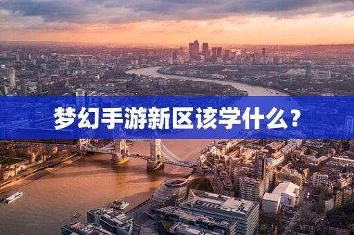 梦幻手游新区该学什么？