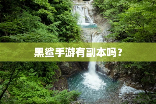 黑鲨手游有副本吗？