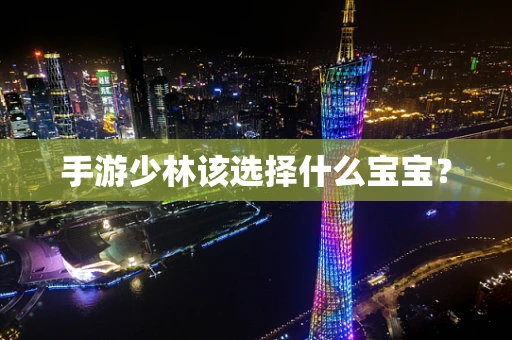 手游少林该选择什么宝宝？