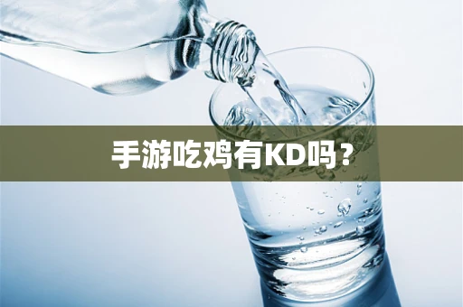 手游吃鸡有KD吗？