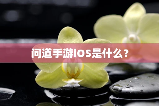 问道手游iOS是什么？