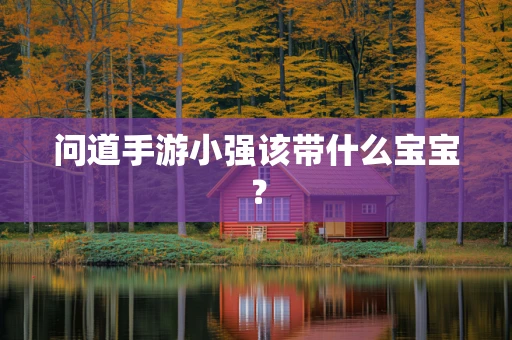 问道手游小强该带什么宝宝？
