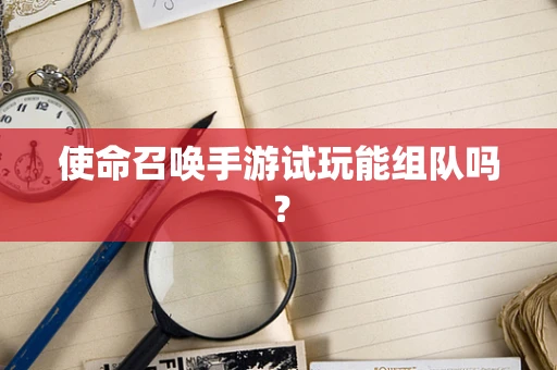 使命召唤手游试玩能组队吗？