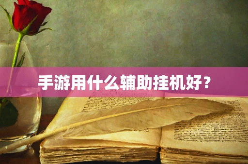 手游用什么辅助挂机好？
