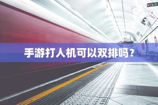手游打人机可以双排吗？