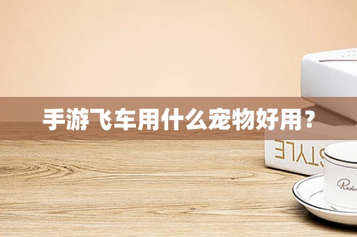 手游飞车用什么宠物好用？