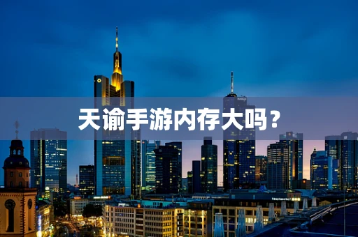 天谕手游内存大吗？